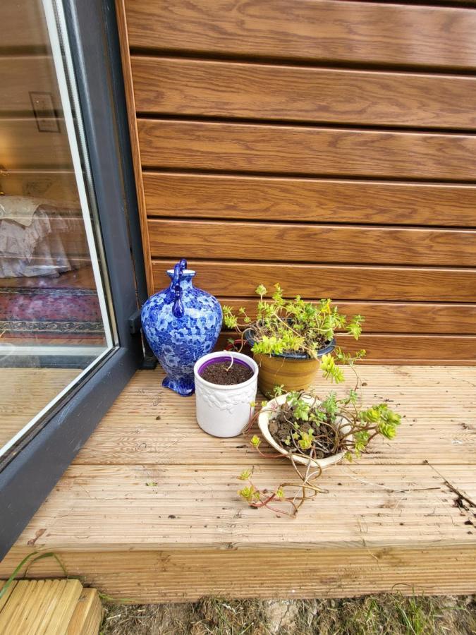 The Apple And Plum Cottage Studio Apartment New Reading Exterior foto